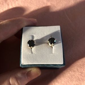 Natural Black Diamond earrings